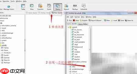 Navicat执行SQL语句方法