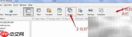 Navicat执行SQL语句方法