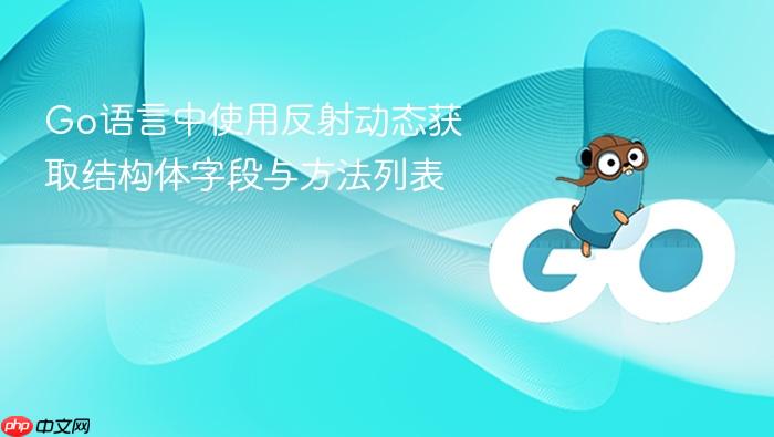 Go语言中使用反射动态获取结构体字段与方法列表