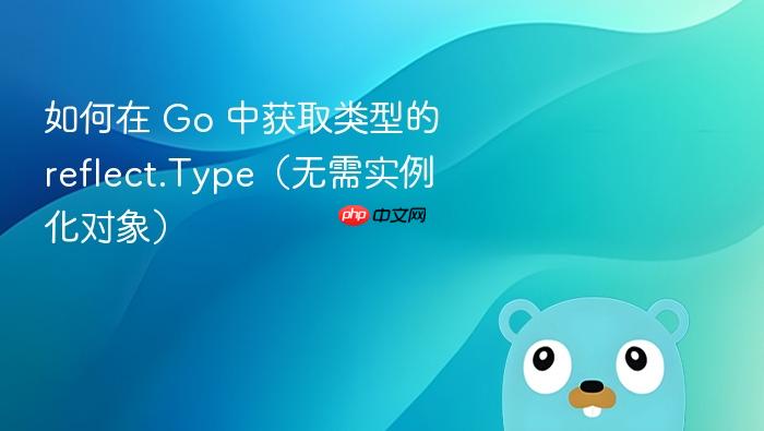 如何在 Go 中获取类型的 reflect.Type(无需实例化对象)