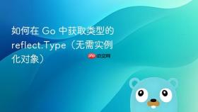 如何在 Go 中获取类型的 reflect.Type(无需实例化对象)