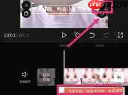 剪映如何给字幕变色