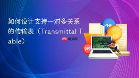 如何设计支持一对多关系的传输表（Transmittal Table）