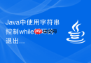 Java中使用字符串控制while循环的退出条件
