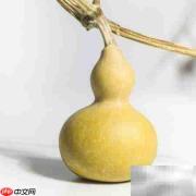 绿葫芦变黄葫芦的简易方法