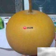 绿葫芦变黄葫芦的简易方法