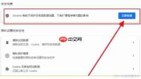 谷歌浏览器怎样进行安全检查