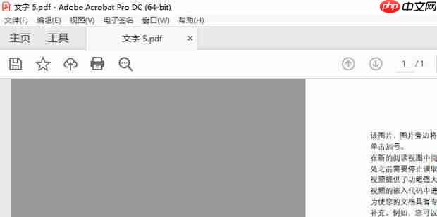 PDF如何手写签字
