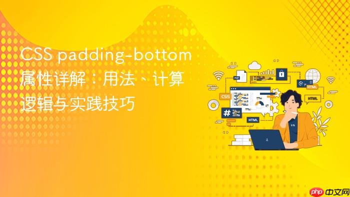 CSS padding-bottom 属性详解:用法、计算逻辑与实践技巧