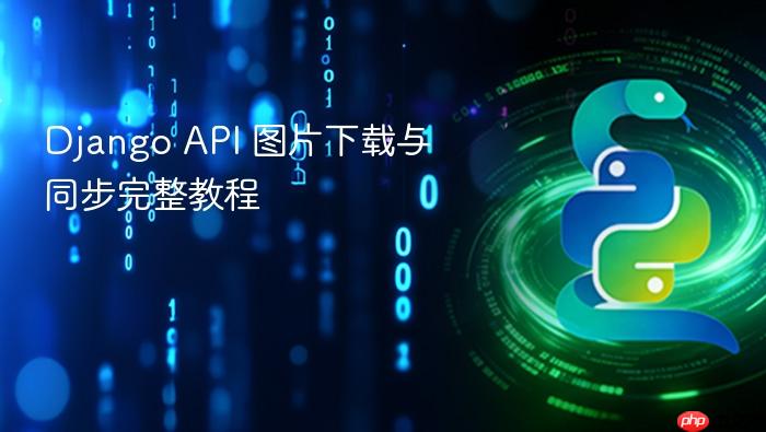 Django API 图片下载与同步完整教程
