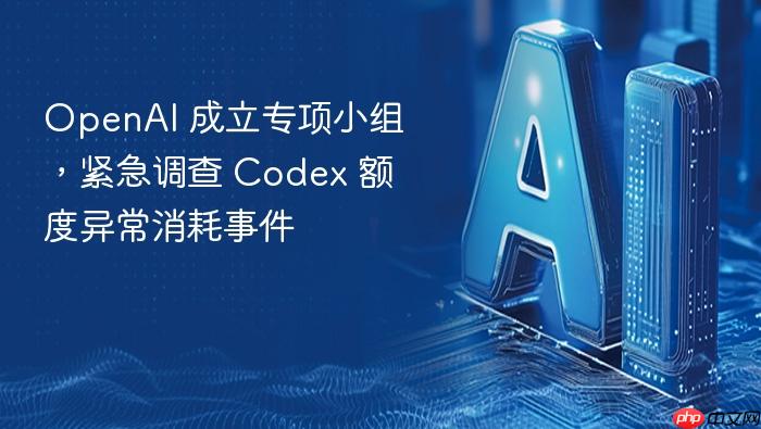 openai 成立专项小组，紧急调查 codex 额度异常消耗事件