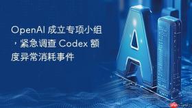 openai 成立专项小组，紧急调查 codex 额度异常消耗事件