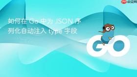 如何在 Go 中为 JSON 序列化自动注入 type 字段