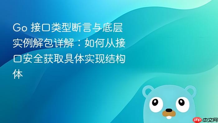 Go 接口类型断言与底层实例解包详解:如何从接口安全获取具体实现结构体