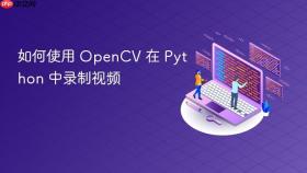 如何使用 OpenCV 在 Python 中录制视频
