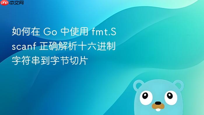 如何在 Go 中使用 fmt.Sscanf 正确解析十六进制字符串到字节切片