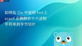 如何在 Go 中使用 fmt.Sscanf 正确解析十六进制字符串到字节切片