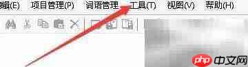 雪人翻译自动填充未译句