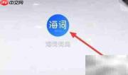 海词词典英文阅读技巧
