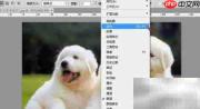 Photoshop动作ATN文件使用技巧