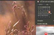 Ubuntu安装日程管理软件