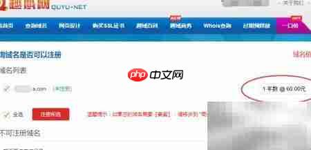 . com域名的优势解析