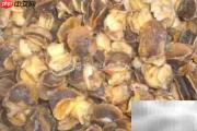 冰冻熟玉螺简易做法