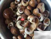 冰冻熟玉螺简易做法