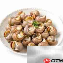 冰冻熟玉螺简易做法