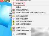 如何打开Shockwave Flash文件