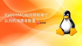 rabbitmq如何限制单个队列的消费者数量？