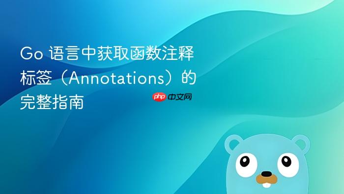 Go 语言中获取函数注释标签（Annotations）的完整指南
