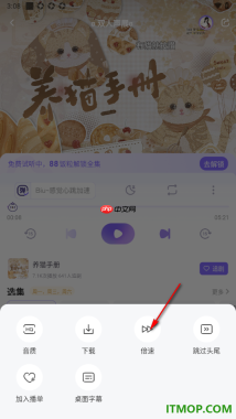饭角手机版设置2倍速播放广播剧的方法