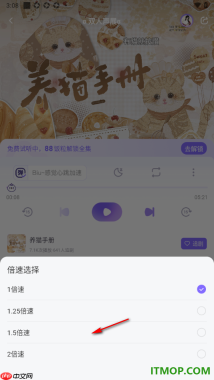 饭角手机版设置2倍速播放广播剧的方法
