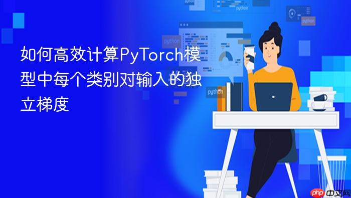 如何高效计算PyTorch模型中每个类别对输入的独立梯度