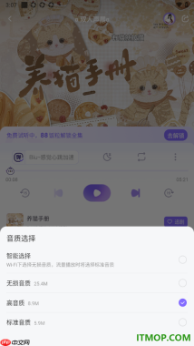 饭角手机版设置广播剧播放音质为无损音质的方法