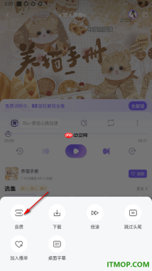 饭角手机版设置广播剧播放音质为无损音质的方法