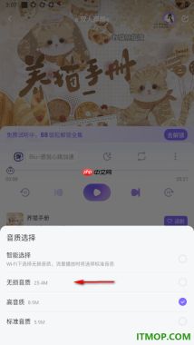 饭角手机版设置广播剧播放音质为无损音质的方法