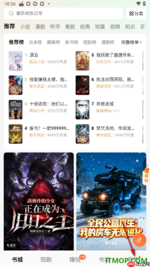 番茄免费小说手机版设置允许接收消息推送通知的方法
