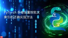 PyTorch 多维张量按批次索引的正确实现方法
