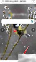 爱搜浏览器开启广告过滤教程