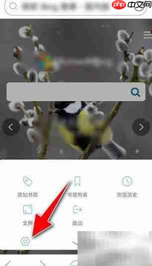 爱搜浏览器开启广告过滤教程