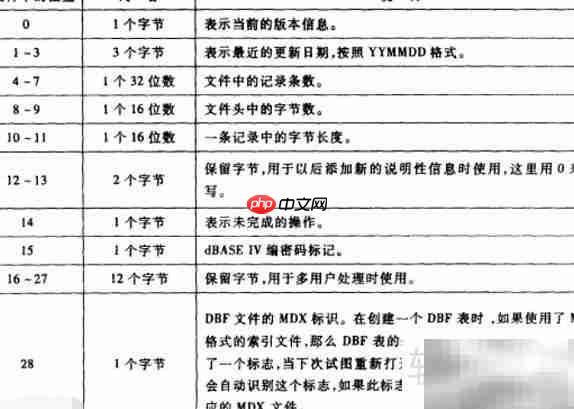 dbf文件格式解析