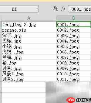 文件照片批量重命名技巧