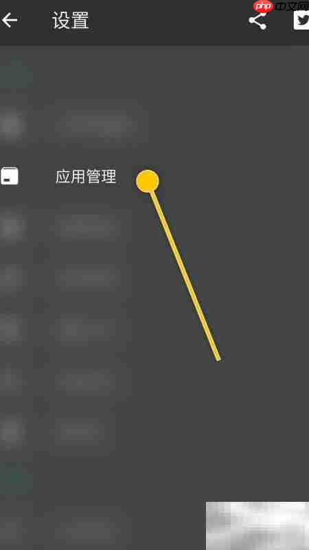 SD Maid双重检查开启指南