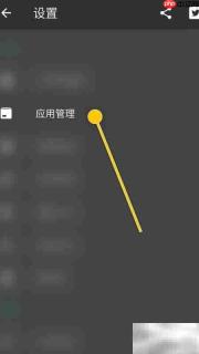 SD Maid双重检查开启指南