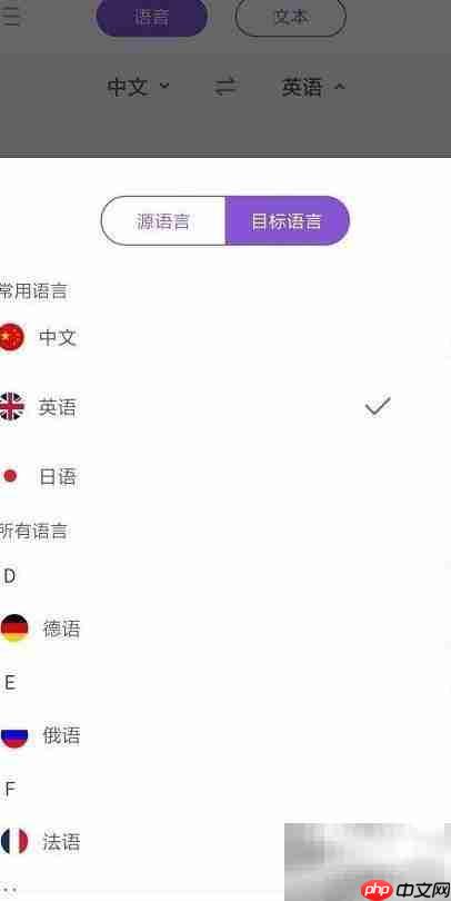 快速翻译在线英语技巧