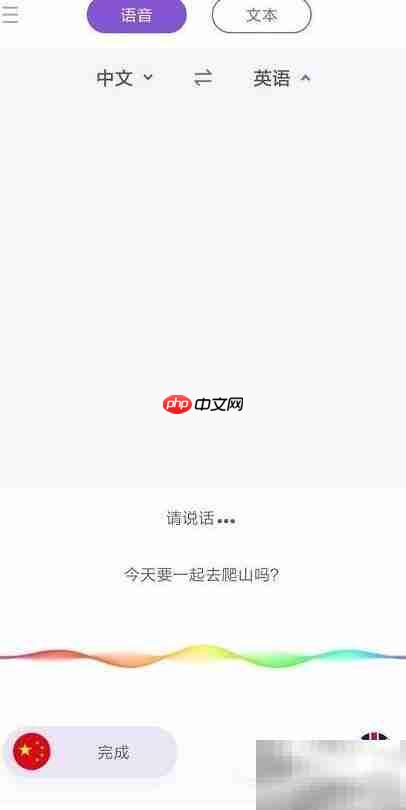 快速翻译在线英语技巧