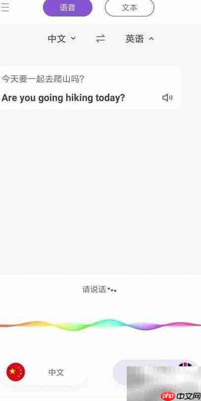 快速翻译在线英语技巧
