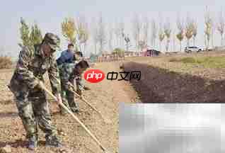 平整泥沙地的实用技巧